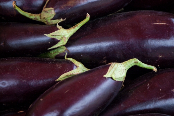 Picture of a Eggplant in a box