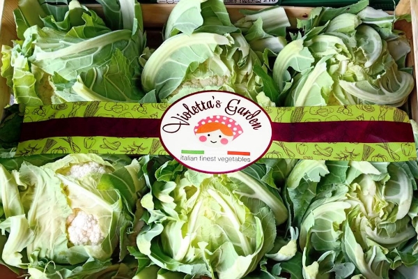 Image of a Cauliflower in a Box