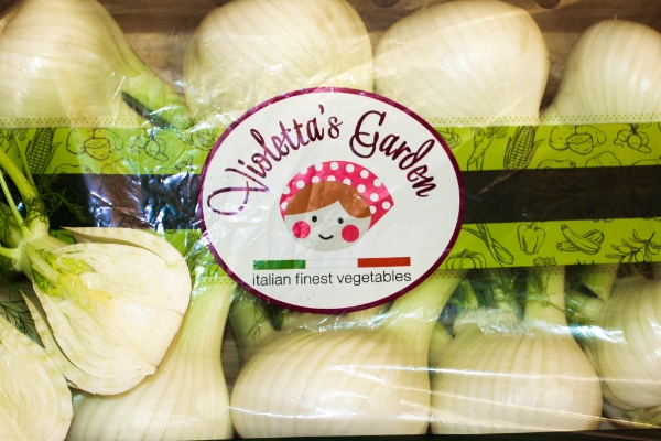 Picture of a Fennel in a box