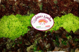 Picture of a Lollo Salad in a box
