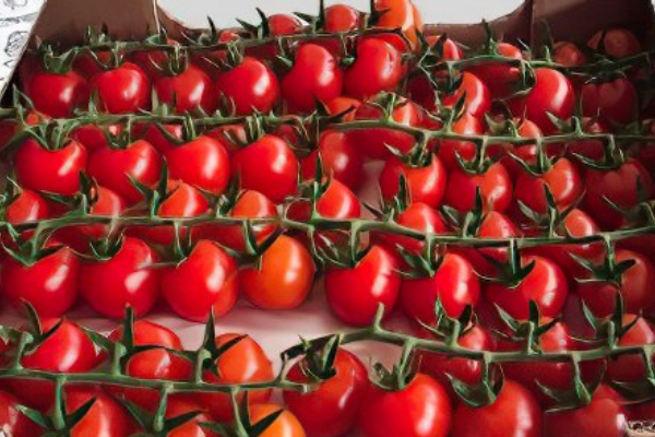 Picture of a Tomato in a box