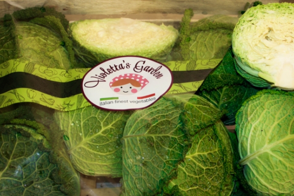 Image of a Savoy in a Box